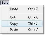 Fig. 1. Copy command in menu.