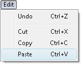 Fig. 1. Paste command in menu.