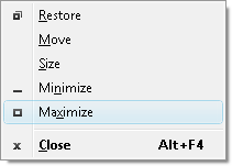 Fig. 1. Maximize command in system menu.