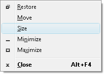 Fig. 1. Size command in system menu.